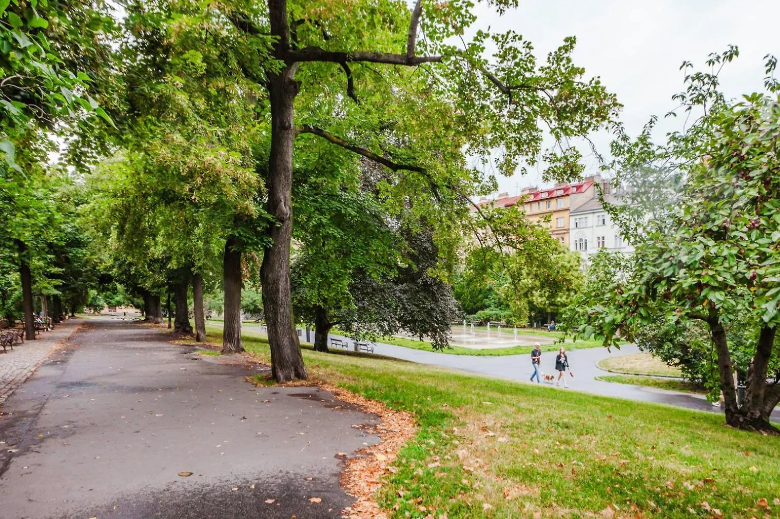Blueground Vinohrady Close To Namesti Miru Prg-2 Prag